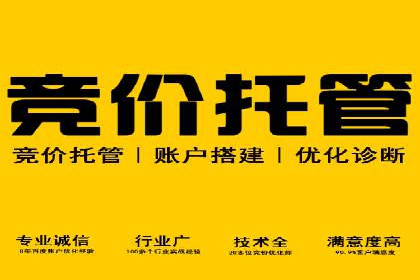 案例解析：SEM竞价策略优化技巧